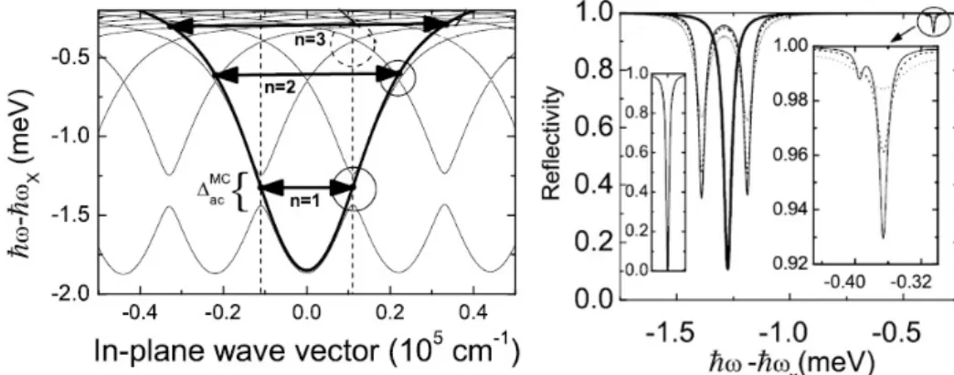 Figure 2.6: Left panel shows the initial (bold solid line) and renormalized by SAW (thin lines) polariton dispersions