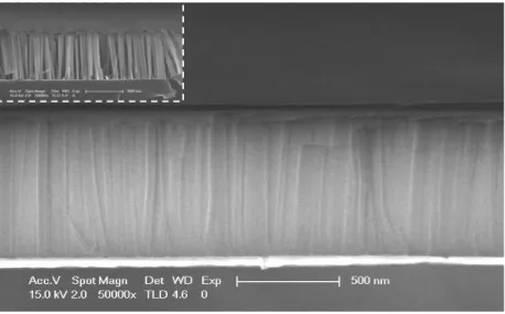 Figure 2.15 HSQ encapsulation of nanowires. The inset shows the nanowires on their substrate  before the HSQ spin coating deposition