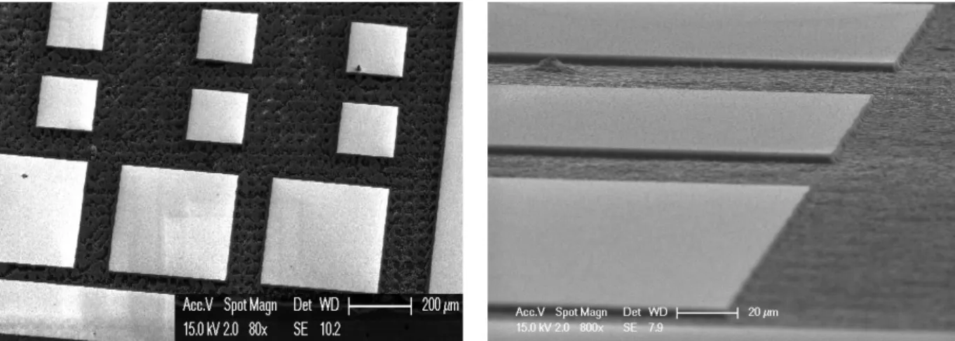 Figure 2.18. a) Definition of mesa by photolithography, the resist protects the mesa areas from  RIE etching