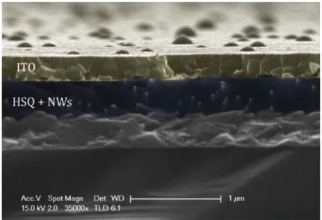 Figure 2.19 SEM image of a sample after ITO deposition and annealing 