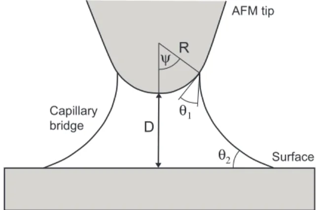 Figure 6: Graphical representation of a capillary bridge formed between an AFM tip of radius R and a flat surface separated by a distance D