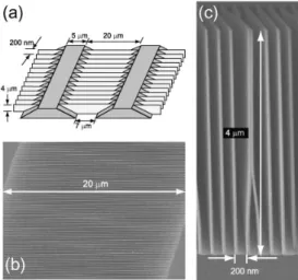Figure 1: Stiction effect due to drying in the nanofbrication of a nanomirror array (c)