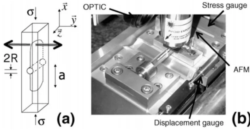 Figure 1: Experimental setup: (a) Sketch of the DCDC geometry; (b) picture of the experiment