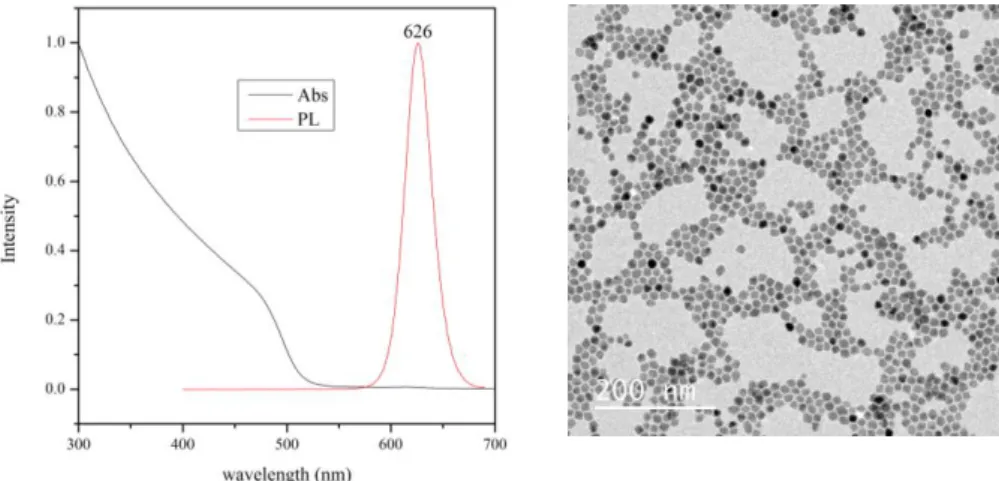 Figure  2.1.  Absorption  and  photoluminescence  spectra  (left)  and  TEM  image  (right)  of  6-nm-in-radius  CdSe/CdS core/shell QDs.