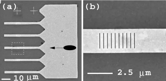 FIG. 1. Scanning electron microscope (SEM) images of a typical structure used in this study.