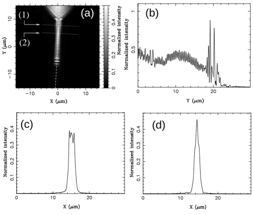 FIG. 2. (a) Large scan PSTM image of a micro–structured SPW. (b) Longitudinal cross–cut of the near–field image along the dashed line in (a)