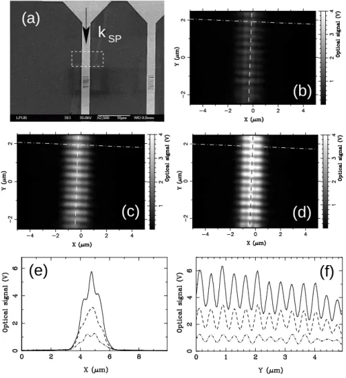 FIG. 3. (a) SEM image of the sample used to investigate the influence of the tip–sample distance on the standing wave pattern contrast