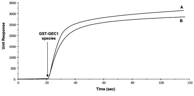 Figure 5: Superimposition of two GST-GEC1 immobilization strategies onto sensor chips.