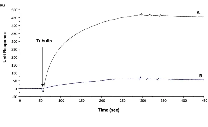 Figure 6: Specific interactions between tubulin and self-assembled  DPDPB-GST-GEC1 complexes.
