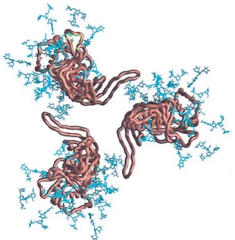Figure 1.4 Model of gp120 trimer from the orientation of the viral membrane. The gp120  core is a copper brown and carbohydrate core structures are blue