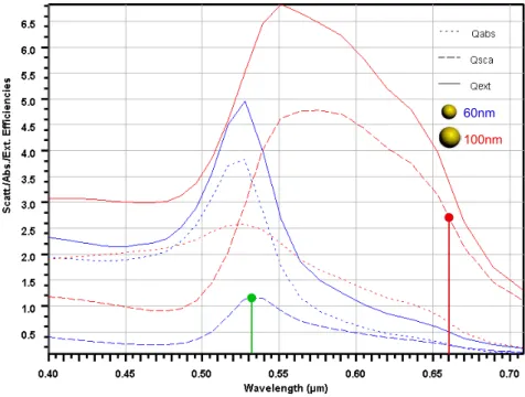 Figure 2.5: Spectra from http://www.lightscattering.de/MieCalc/eindex.html, calcu- calcu-lated for the two main sizes of NPs used throughout this PhD work