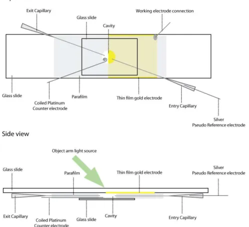 Figure 2.7: Schematic description of the microfluidic chamber/cell. The green arrow shows the direction of the laser propagation and, as can be seen in the side view, the