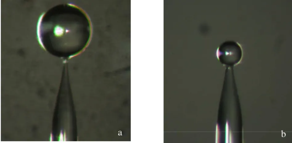 Figure III.2 : Photomicrograph of two silica microspheres with diameter  approximately of 200 microns (a) and 100 microns (b) respectively