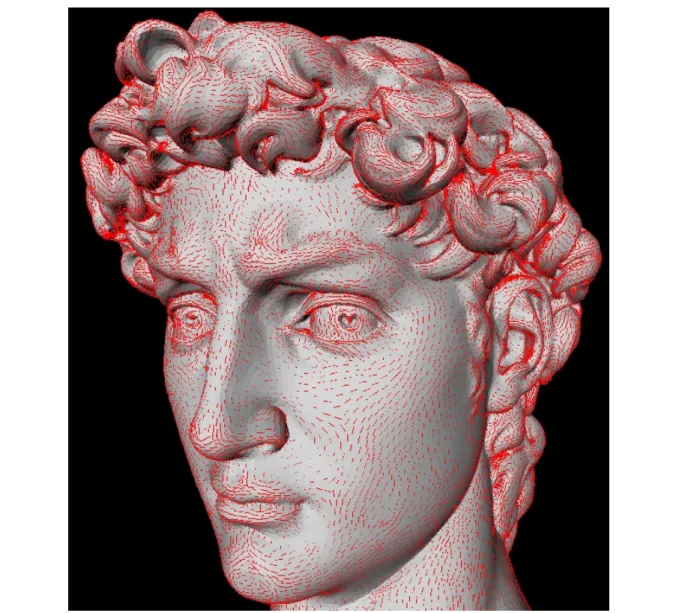 Figure 20: Michelangelo’s David: principal directions associated with k max scaled by k min