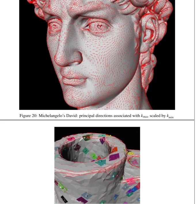 Figure 21: Mechanic: closeup