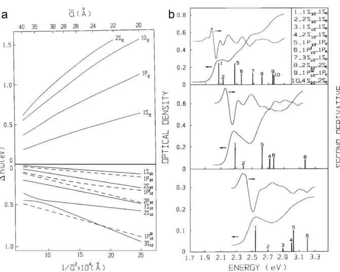 Figure I.4: a. Theoretical size dependence of the electron and the hole energy levels in a CdSe QD