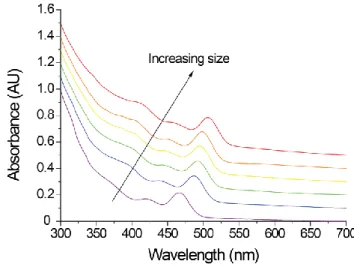 Figure I.6: Evolution of the absorbance spectrum with increasing size of CdSe QDs. 