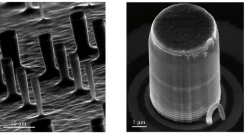 Figure 1.7 – MEB image of micro-pillars. Reprinted ﬁgure from [55], with the author’s permission.