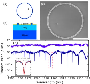 Figure 1.14 – (a) Top view of a micro-ring resonator of radius r. (b) Cross-section of the micro-ring, with polyﬂuorene-wrapped s-SWNT top layer (not to scale)