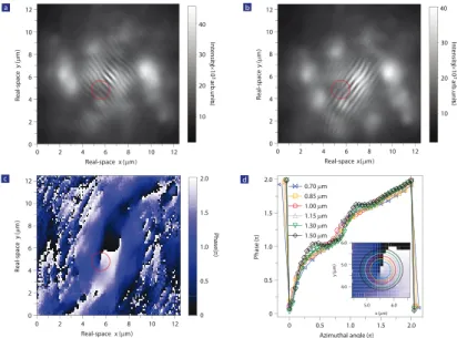 Figure 1.11: Observation of vortices in a polariton condensate from Ref.[19]. (a) Interferogram evidencing a vortex: the typical fork-like dislocation (phase  singular-ity) is visible inside the red circle