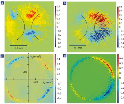 Figure 1.18: Optical spin-Hall eect from Ref.[17] starting from a TM polarized pulsed pump with wavevector k P = 1.5 µm − 1 that Rayleigh scatters on the disorder landscape of the planar microcavity