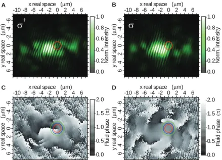 Figure 2.1: Observation of half-quantum vortices in a polariton condensate from Ref.[20]
