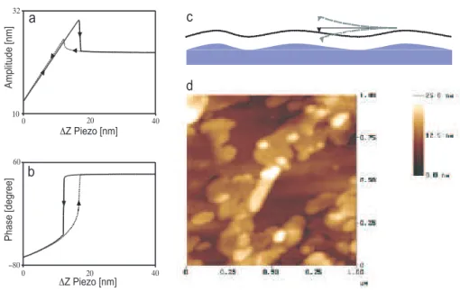 Figure 2.4: In a) and b) we show experimental approach-retract curves taken at ambient conditions where a) is the amplitude and b) the phase
