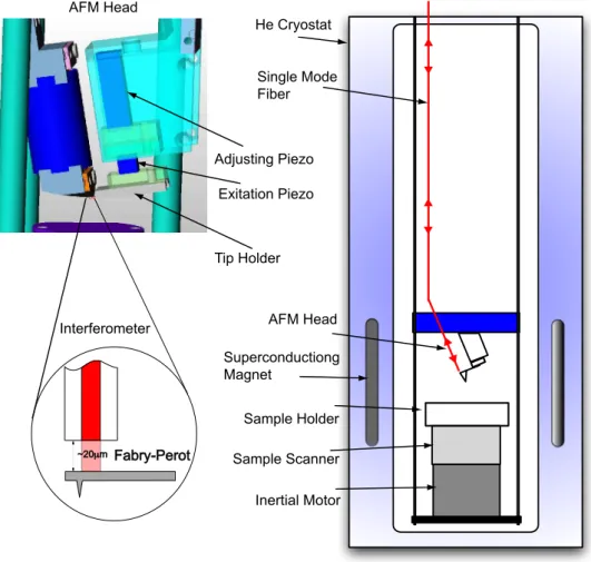 Figure 2.6: Schematic representation of the low temperature AFM. The AFM is inserted inside a commercial 4 He cryostat and the optical detection of the lever deflection is done via an optical single-mode fibre that forms an optical cavity with the cantilev
