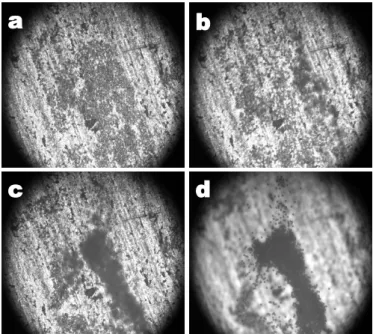 Figure 2.5 Levitation process observed for 10µm particles at 5X magnification. a) At t = 0, particles are settled down (metal plate is clearly distinguishable).