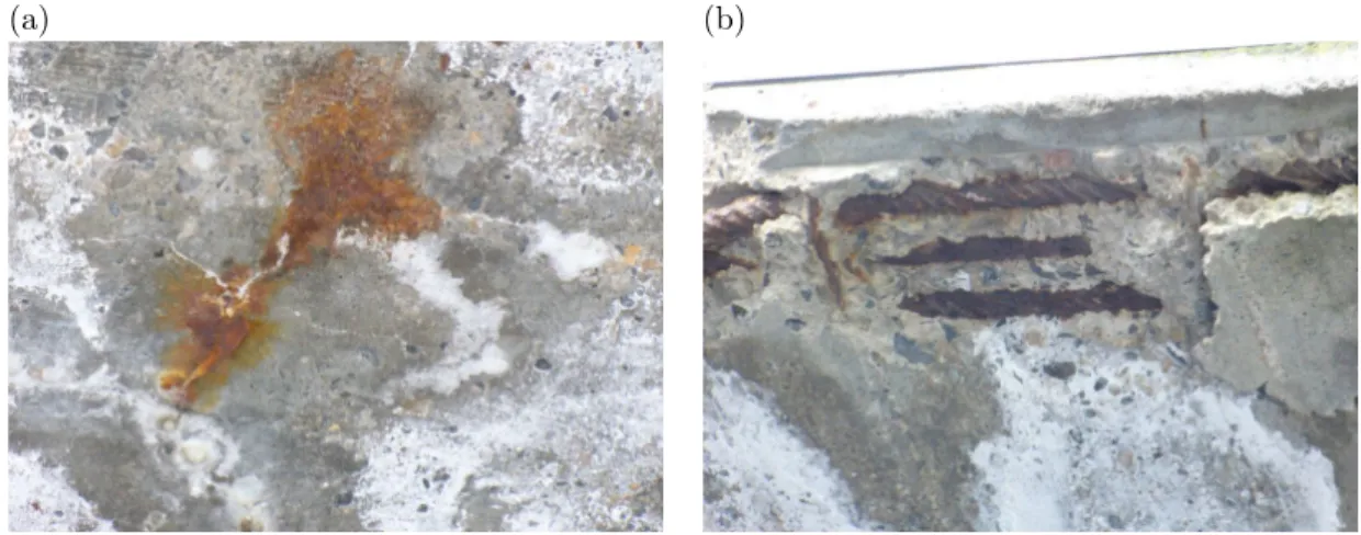 Figure 1.1: Examples of damage induced by corrosion (a) concrete cracking and (b) concrete spalling.
