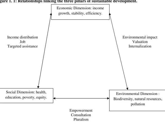 Figure 1. 1: Relationships linking the three pillars of sustainable development.  