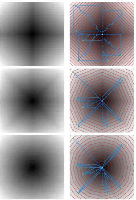 Fig. 2.6  Distane maps, level sets and shortest paths for a uniform poten-
