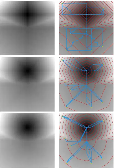Fig. 2.7  Distane maps, level sets and shortest paths for a plane separa-