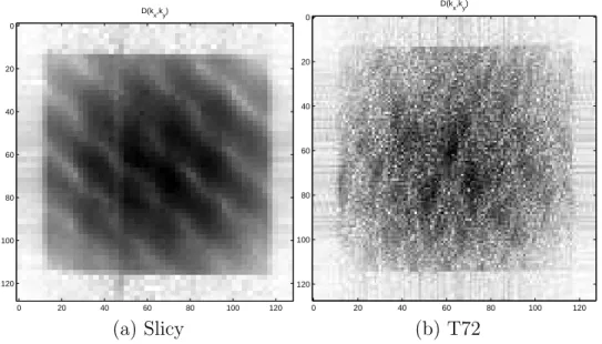 Figure 4.5: The magnitude of phase history data displaying in reverse video : (a) Slicy; (b) T72.