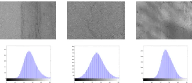 Figure 1: Examples of histograms (second line) of images (first line) with cracks – These images present only one mode in their histograms and it is impossible to separate the gray level distribution of cracks from the gray level  dis-tribution of the road