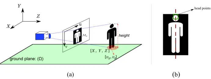 Figure 4.2: Our 3D coordinate system, in which the Z axis points in viewing direction
