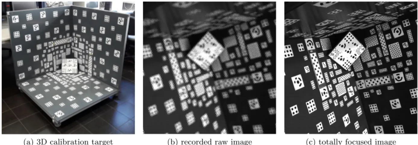 Figure 6.2: 3D target used for plenoptic camera calibration. (a) Entire calibration target (b) Sample raw image recorded by the plenoptic camera