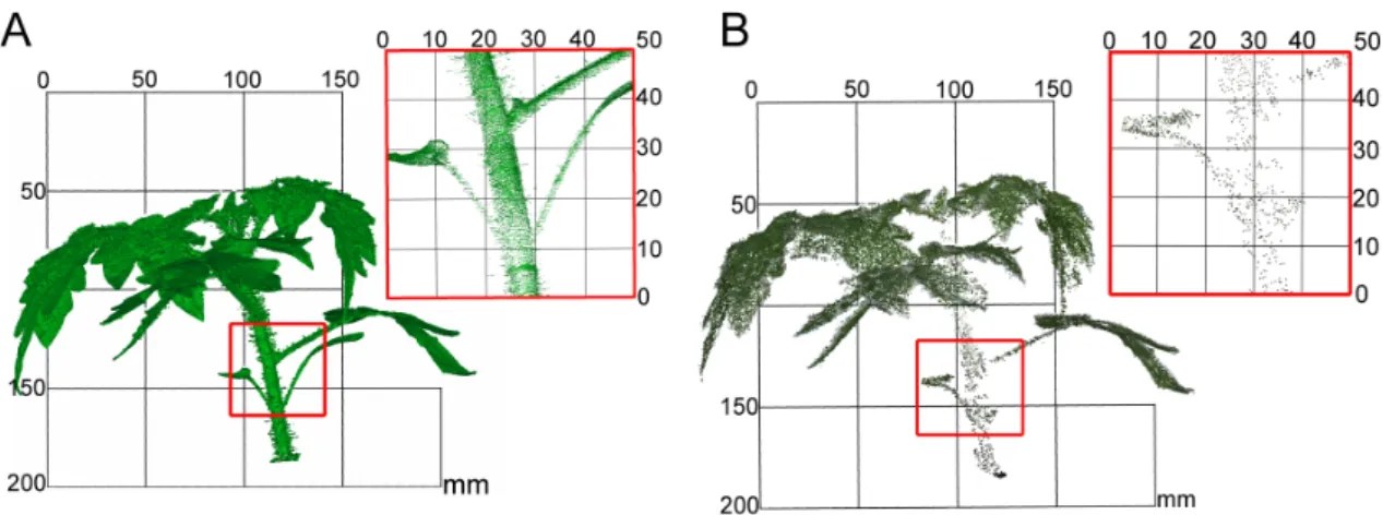 Abbildung 4.2 Vergleich einer Tomatenpflanze aufgenommen mit der Romer-Perceptron Scankombination (A) und einem aus 2D RGB-Bildern erstellten Punktwolke (B)