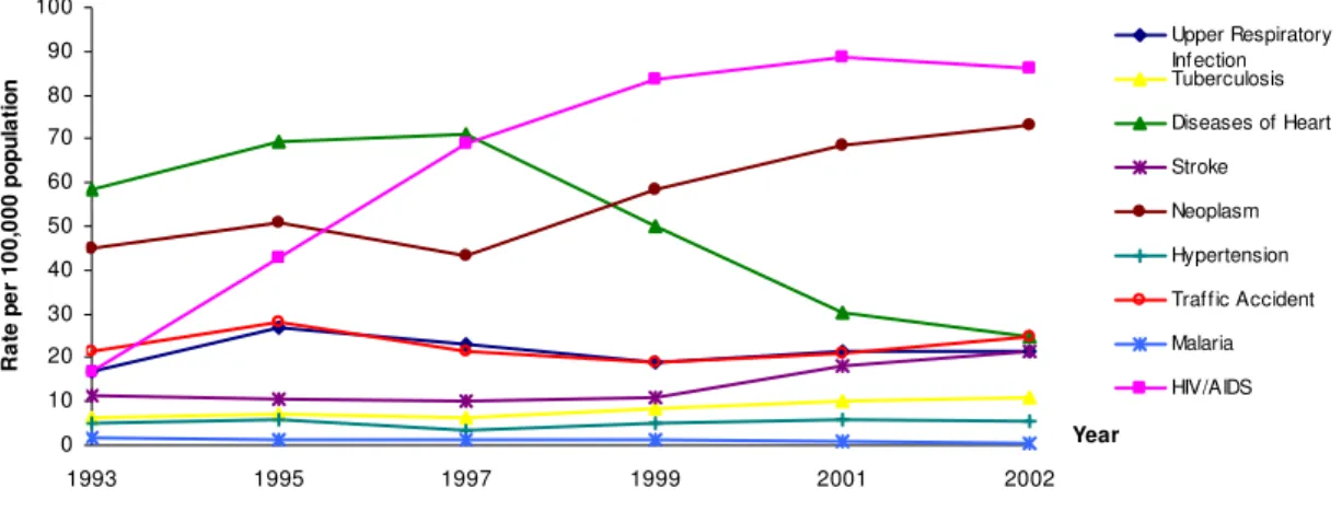 Figure 1.1:   Mortality rates per 100,000 population, by cause, Thailand, 1993 - 2002