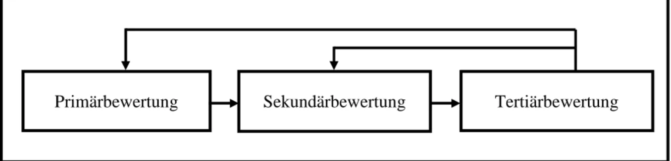 Abb. 1: Darstellung des Copingprozesses nach Antonovsky (erstellt nach Antonovsky, 1997, S