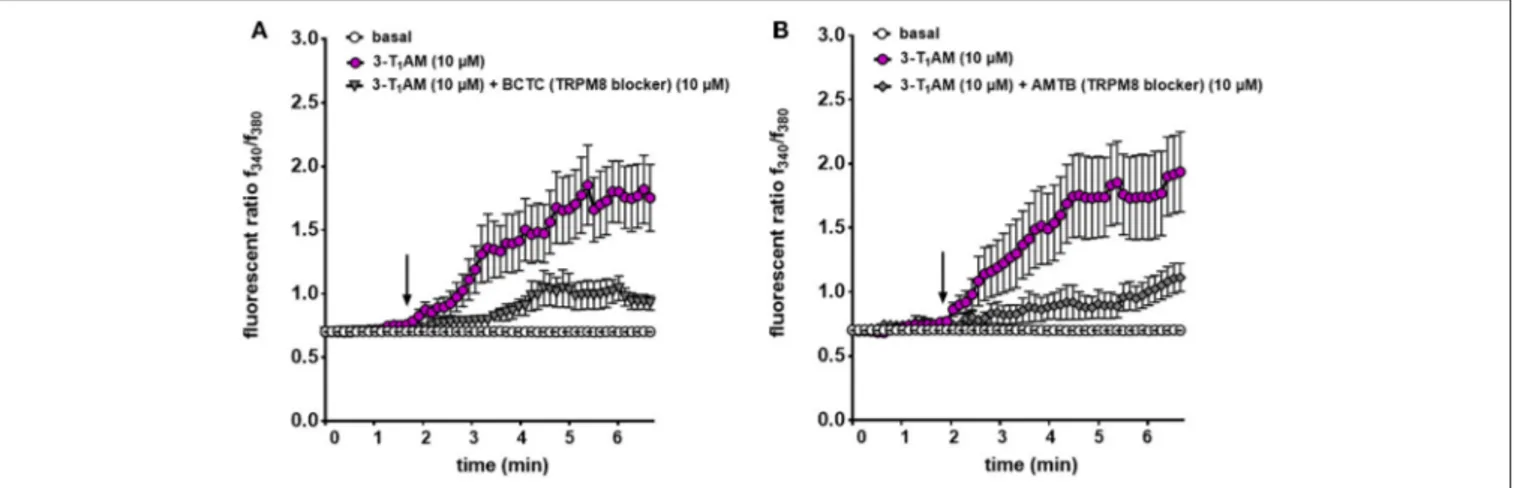 FIGURE 6 | TRPM8 mediates 3-T 1 AM-induced Ca 2+ response in N41 cell line. Cells were pre-incubated with inhibitors (10 µM AMTB or 10 µM BCTC) 30 min before the measurement