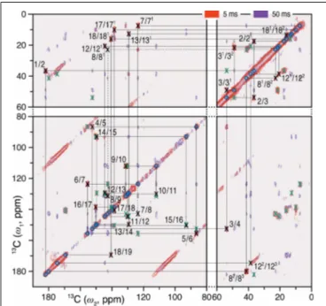 FIGURE 1 | 2D 13 C– 13 C DARR spectra of the oat phyA3 u-[ 13 C, 15 N]-PCB chromophore as Pfr with 1 H mixing times of 5 (red) and 50 (purple) ms