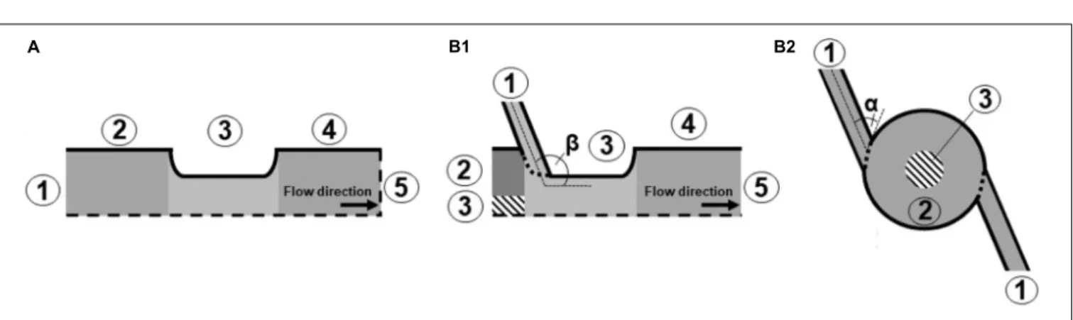 FIGURE 1 | Cross sections of the two different designs used in this study, i.e., co-linear (A) and vortex (B) PEF treatment chamber configurations, including the final dimensions