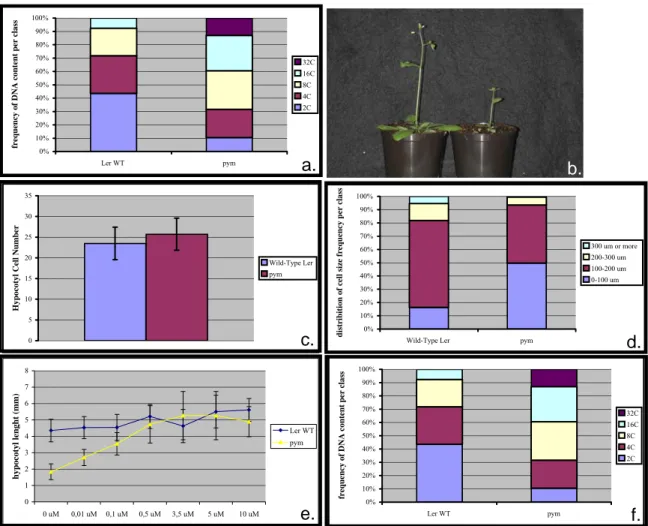 Figure 5: Phenotypical characterization of the pym hypocotyl. (a) Hypocotyl length of 8 days old  plants