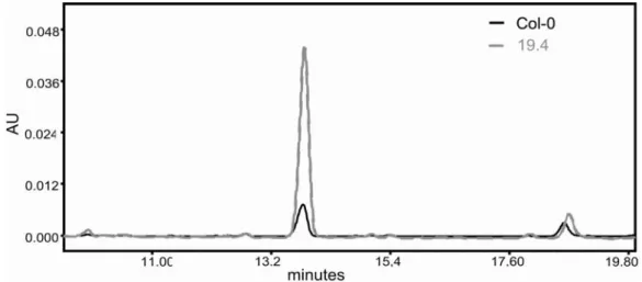 Figure 3.1: HPLC profile of rosette leaf extracts taken from wild-type (Col-0) and the  activation-tagging line 19.4