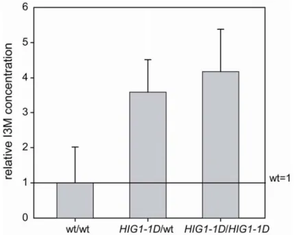 Figure 3.2: Relative I3M concentration of a segregating F 2 population. Plants heterozygous  and homozygous for HIG1-1D showed up to 4-fold increase in I3M accumulation compared  to wild-type plants (mean ±SD; n=10)