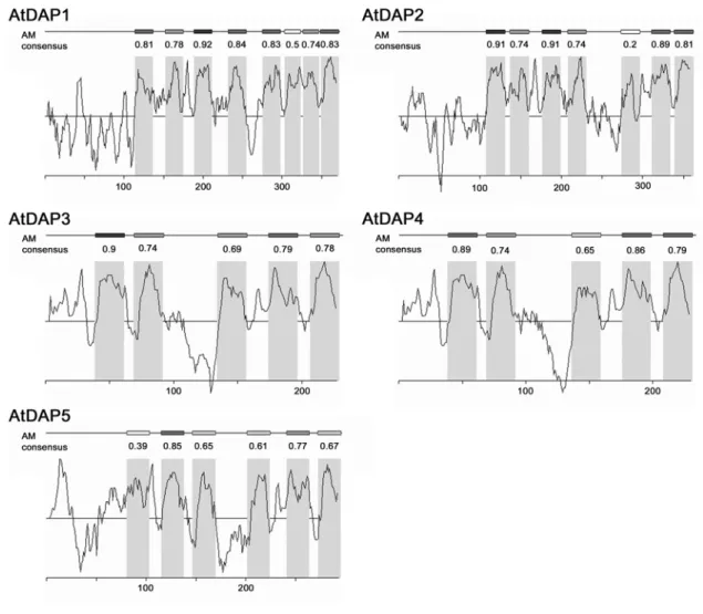 Abb. 3.2: Schematische Darstellung der Position α-helikaler Transmembranspannen für die  AtDAP-Proteine