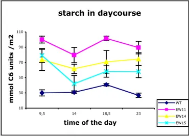 Figure 3.11:  Diurnal changes in leaf contents of starch in EW and wild-type plants