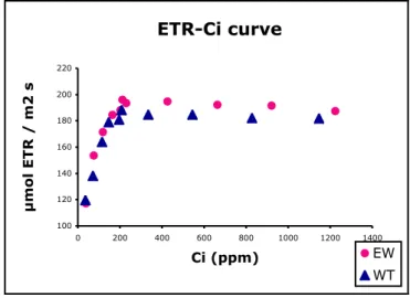 Figure 3.19:  Electron transport-Ci curve of EW and wild-type plants