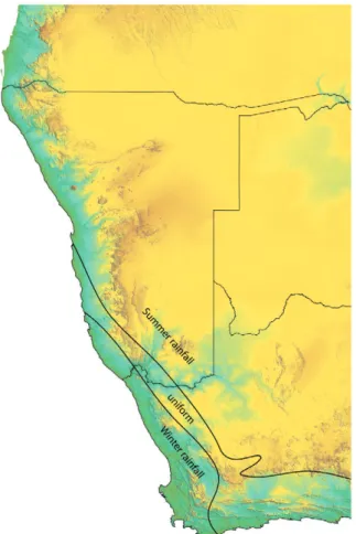 Fig.  1.5:  The  two  major  climate  regimes, winter rainfall and summer  rainfall  on  the  western  coast  of  southern Africa